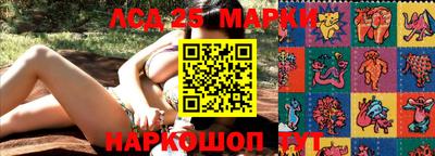 apvp Славгород