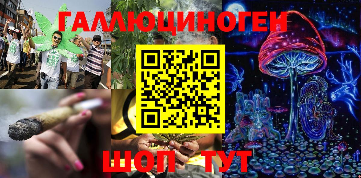 Галлюциногенные грибы Psilocybine cubensis  Вход с VPN  Тавда 