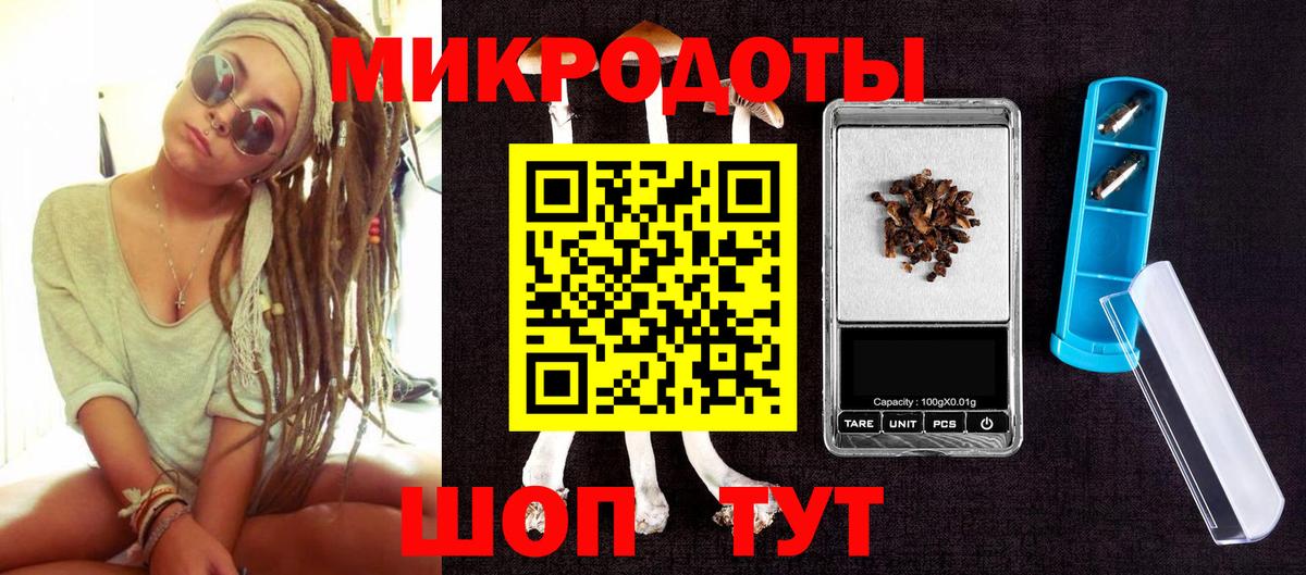 Псилоцибиновые грибы Cubensis Тавда